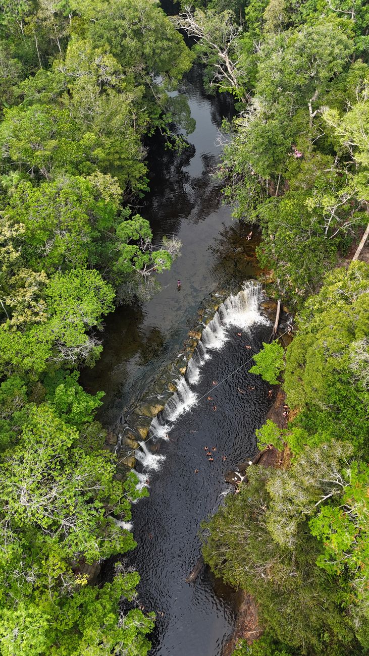 Incrível paisagem brasileira de florestas e rios tropicais