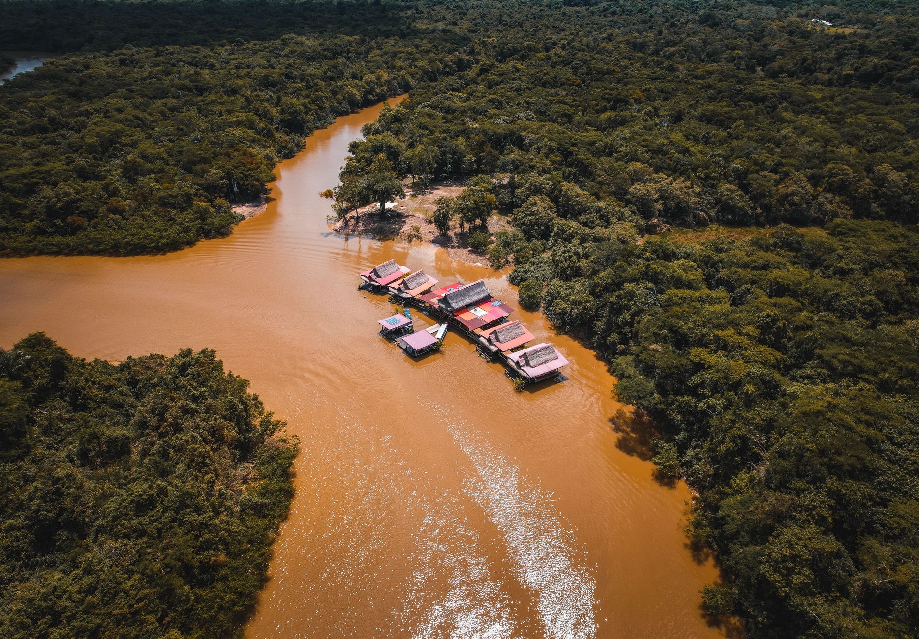 Floresta Amazônica exuberante